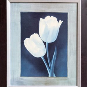 46 ΑΦΙΣΑ 50Χ60cm