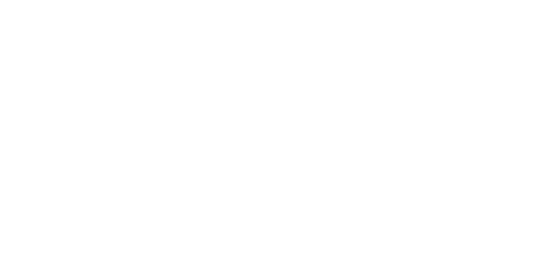 light logo