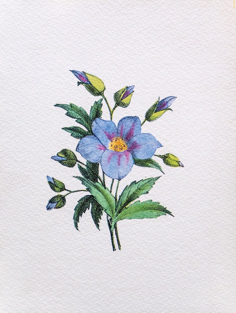 020 ΓΚΡΑΒΟΥΡΑ 18x13cm