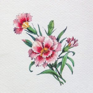 024 ΓΚΡΑΒΟΥΡΑ 18x13cm