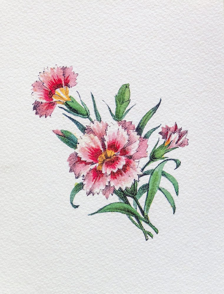 024 ΓΚΡΑΒΟΥΡΑ 18x13cm