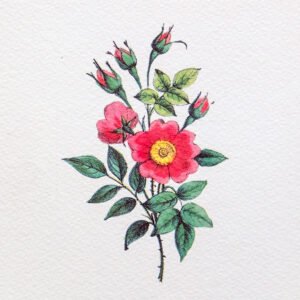 025 ΓΚΡΑΒΟΥΡΑ 18x13cm