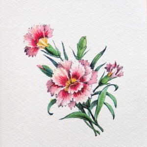 028 ΓΚΡΑΒΟΥΡΑ 18x13cm