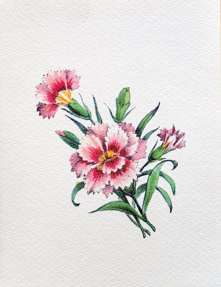 027 ΓΚΡΑΒΟΥΡΑ 18x13cm